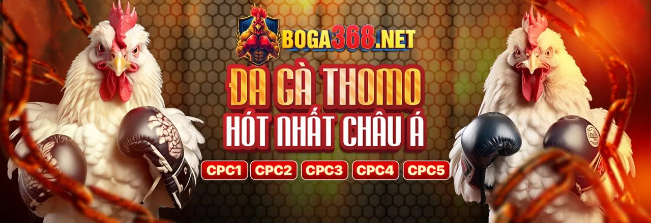 Đá Gà Trực Tiếp Daga 67